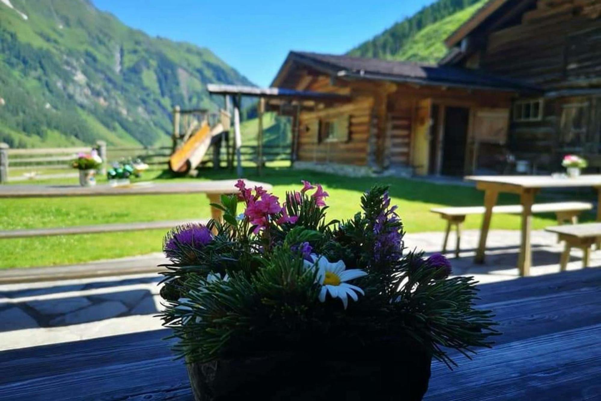 Andrea 7 By Smr Rauris Apartments - Inc Spa And Near Gondola Экстерьер фото